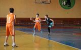 ANT_0168_11_11zon